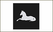 logo-oriental